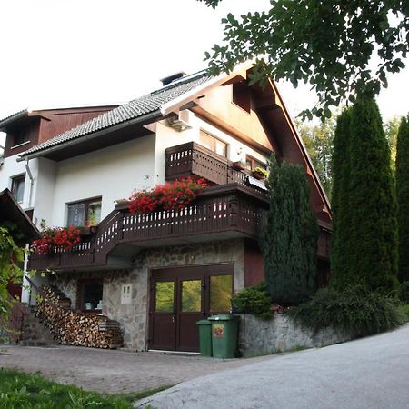 Dream Apartment Brglez Bohinjska Bela Exterior photo